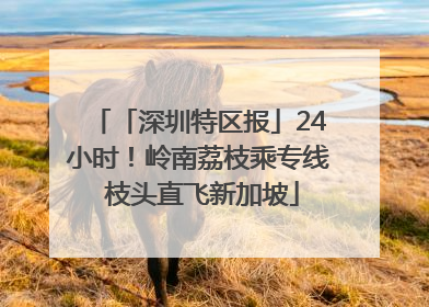 「深圳特区报」24小时！岭南荔枝乘专线 枝头直飞新加坡